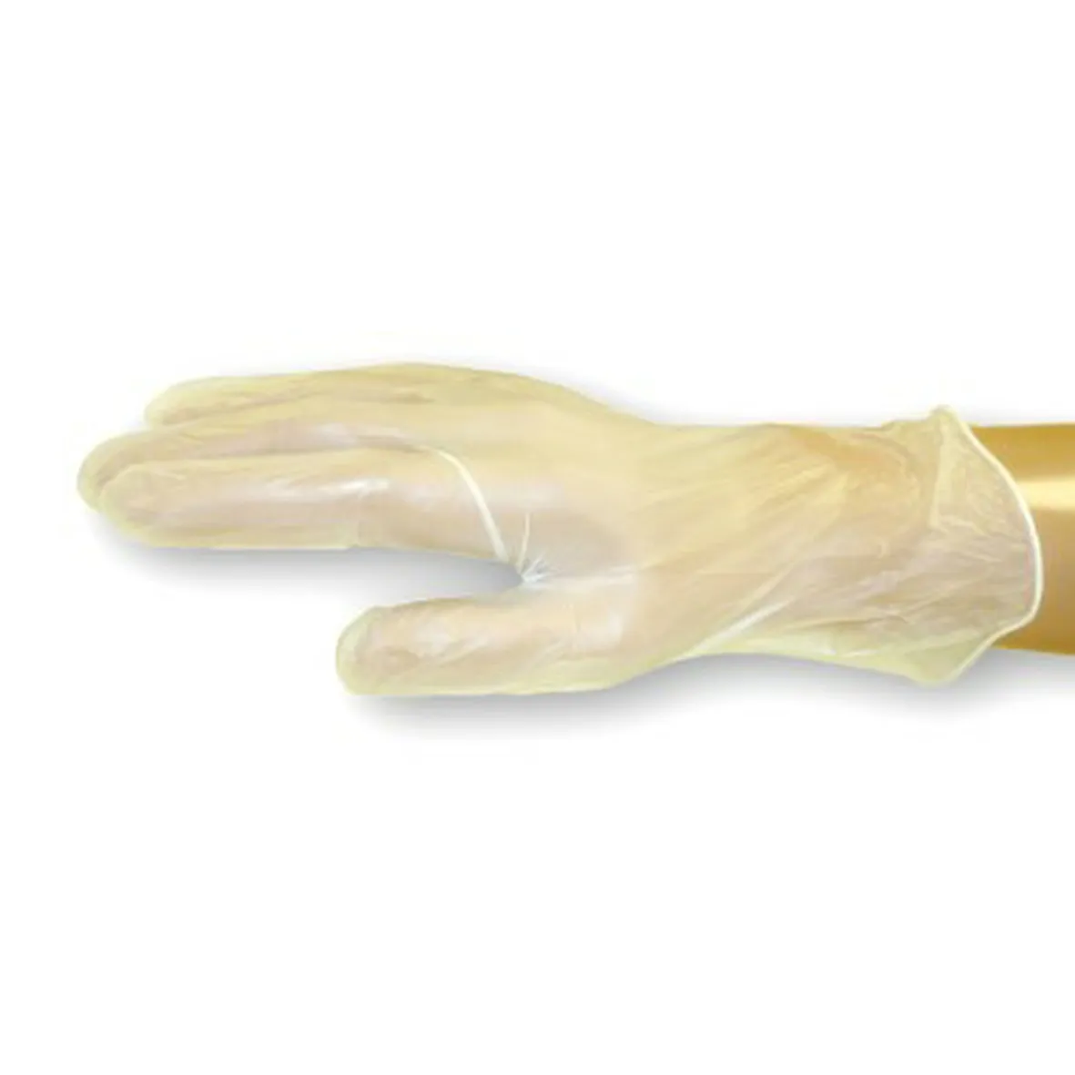 Sterimax Sensator Clear Vinyl Powder-Free Gloves (Case of 1,000) — Clear